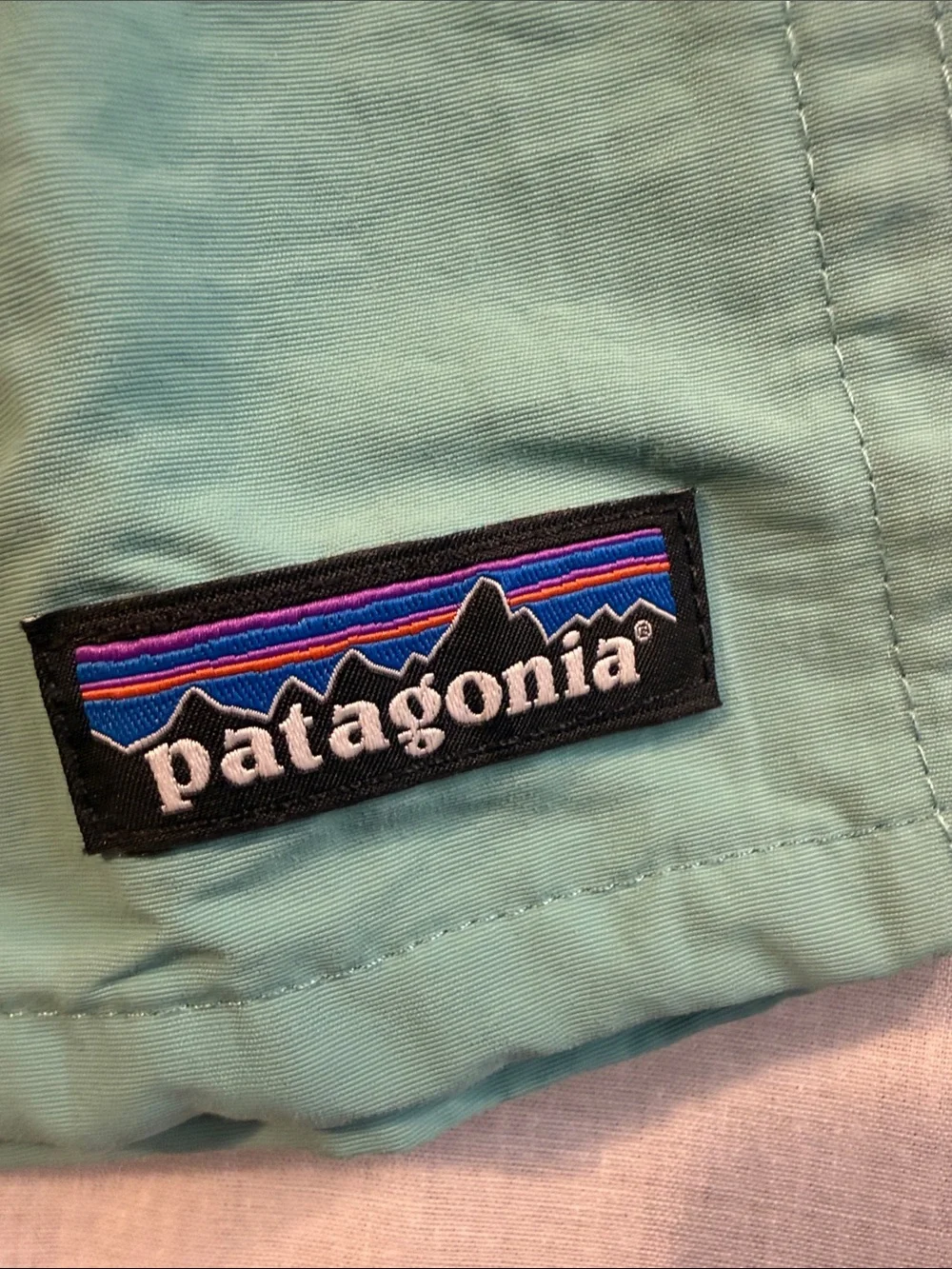 Patagonia men’s  Teal Elastic-Waist Outdoor Shorts / bathing suit